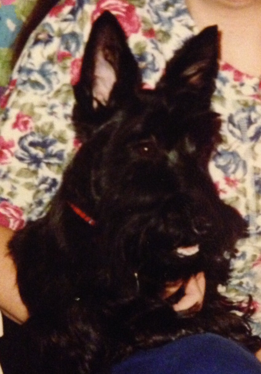 Big White Teeth rileyroozers