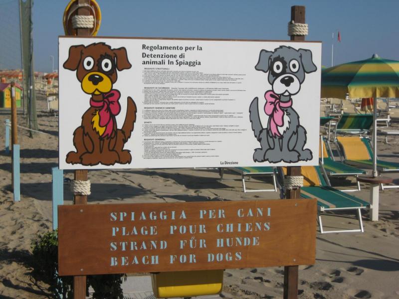 Piccolo Hotel Astoria a Viserbella Rimini