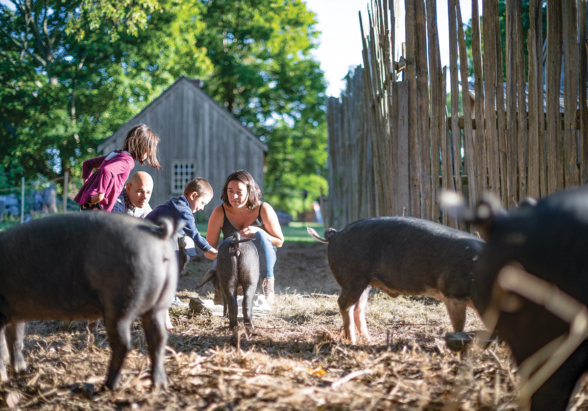 The Future of Farming in Rhode Island Page 2 of 3 Rhode Island Monthly