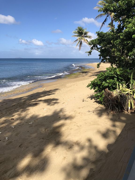 Vacation Rentals in Rincon, Puerto Rico Beach Front, Houses, Villas