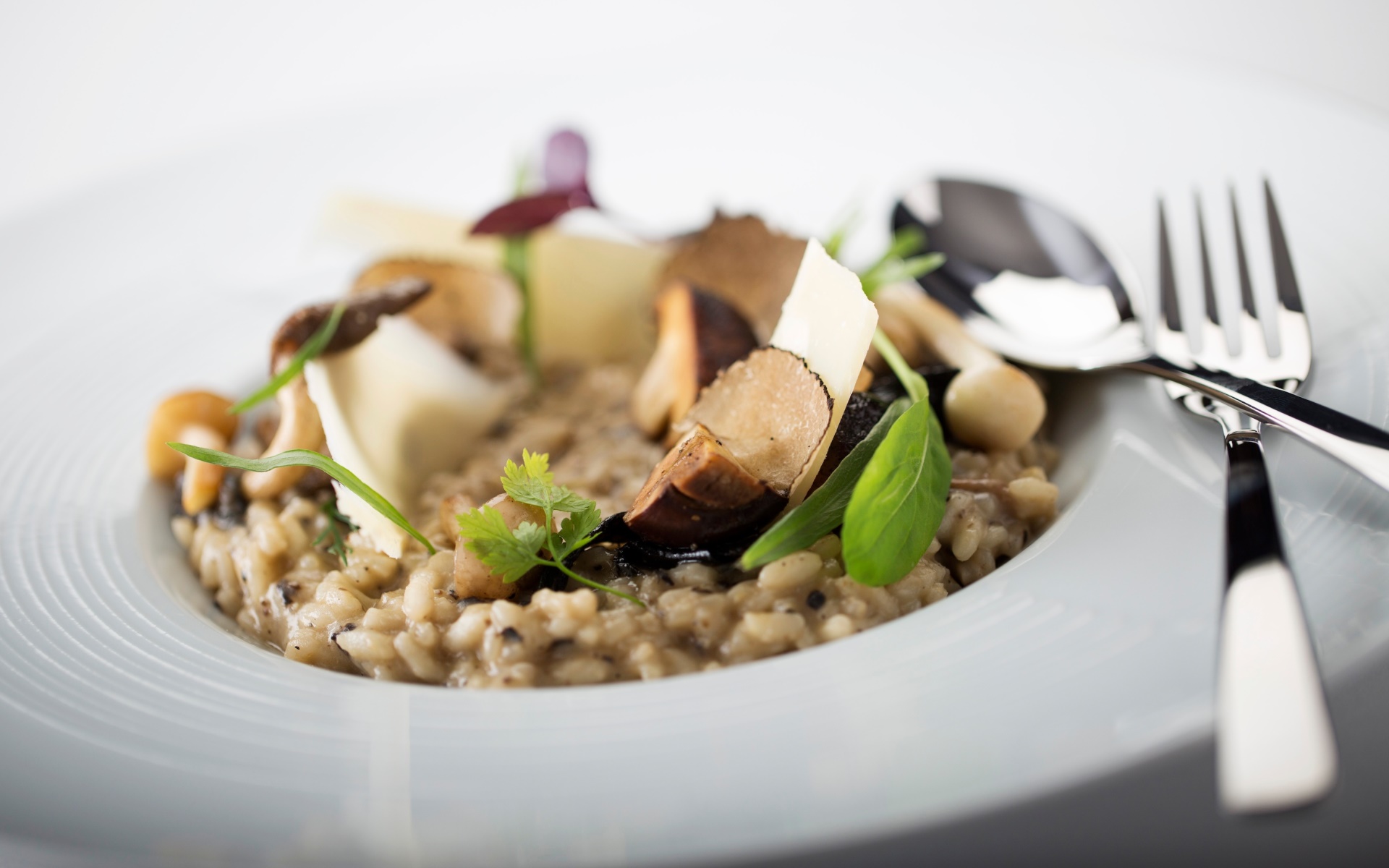 Recipe Risotto con Funghi Porcini Ristorante Rinuccini