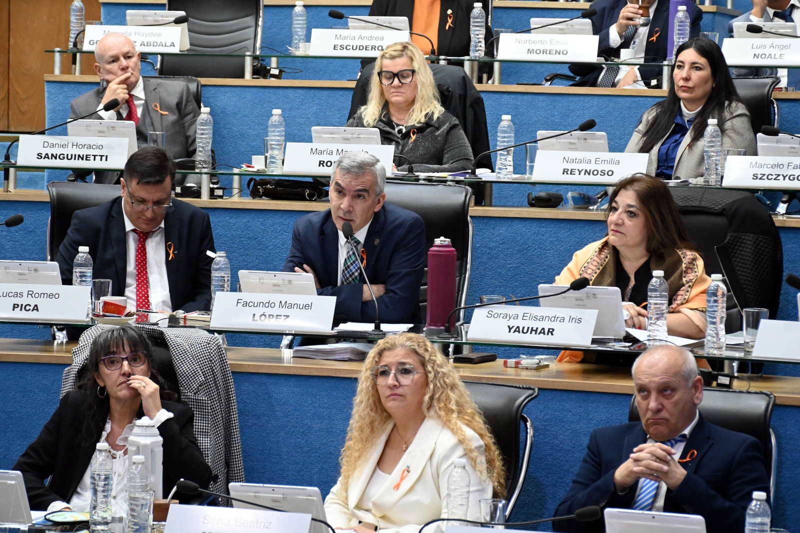 En Río Negro, el oficialismo cuestionó los nombramientos nacionales por su falta de idoneidad