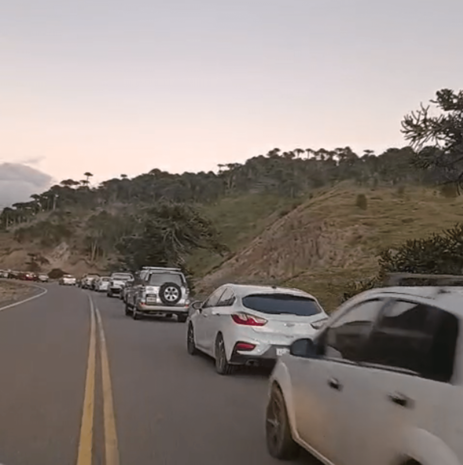 Video  Pasos a Chile colapsados: en primera persona, la travesía de una turista de Neuquén que tuvo que volver al Alto Valle