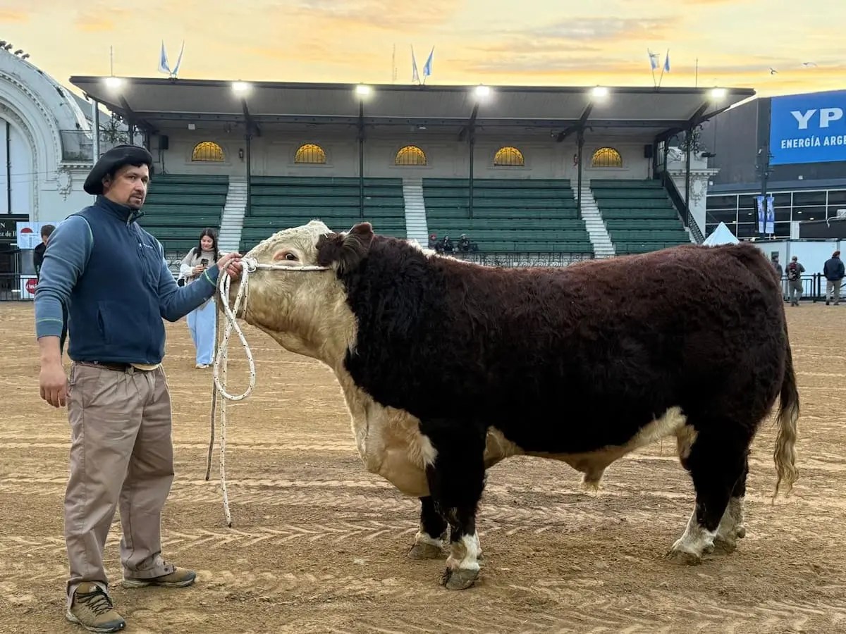 Río Negro y Neuquén dicen presente en la Rural
