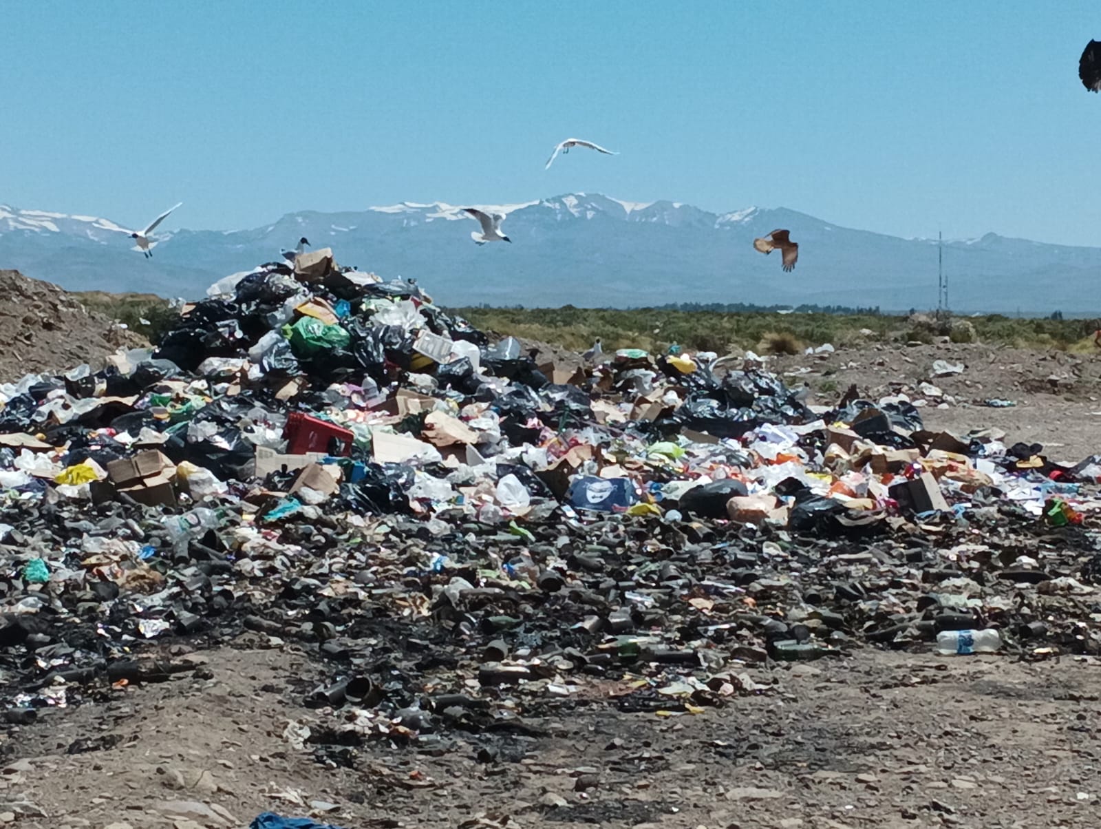 Por la «guerra del basural» una exintendenta de Neuquén va a juicio oral