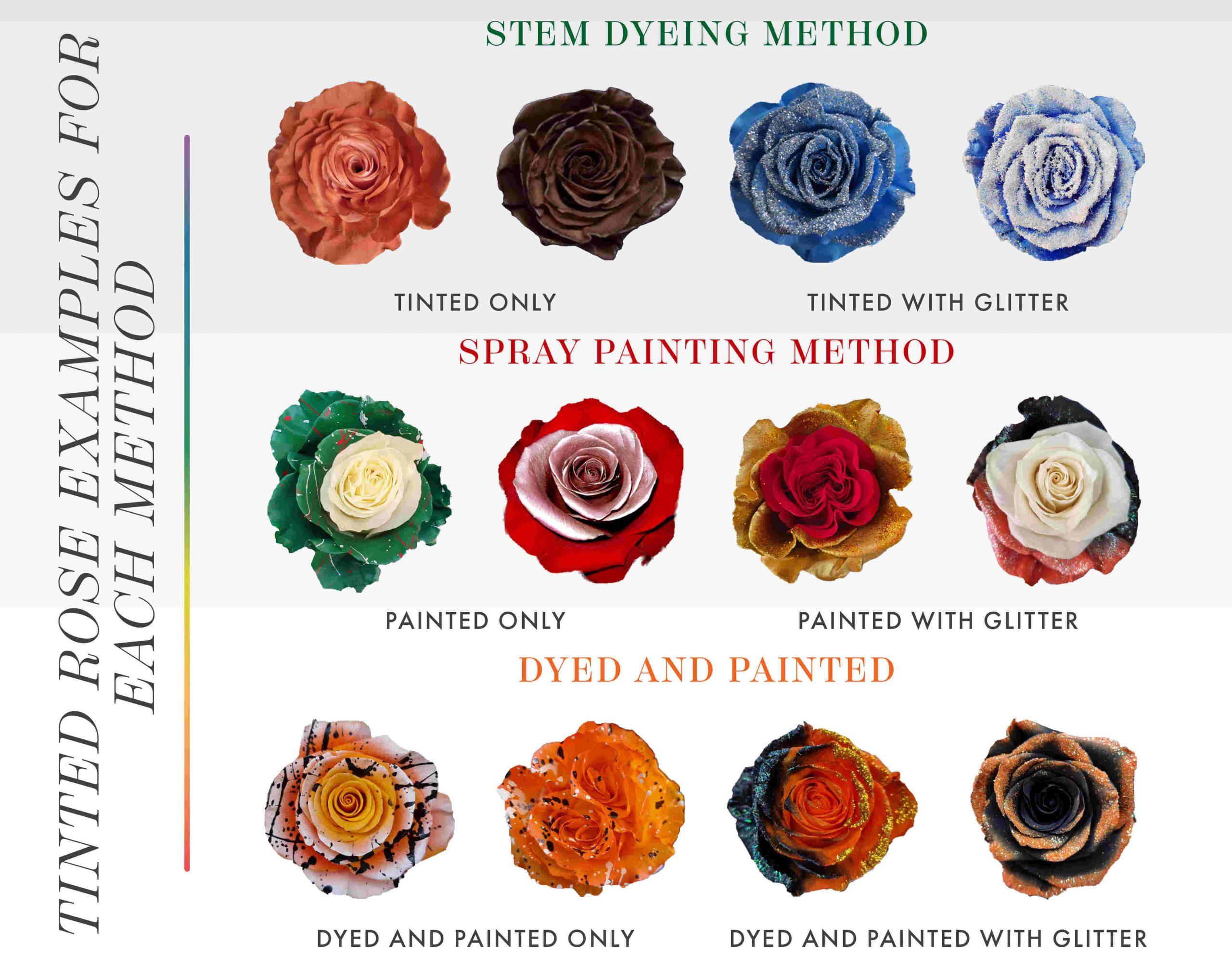 Behind the Scenes How We Create our Stunning Rio Tinted Roses Rio Roses