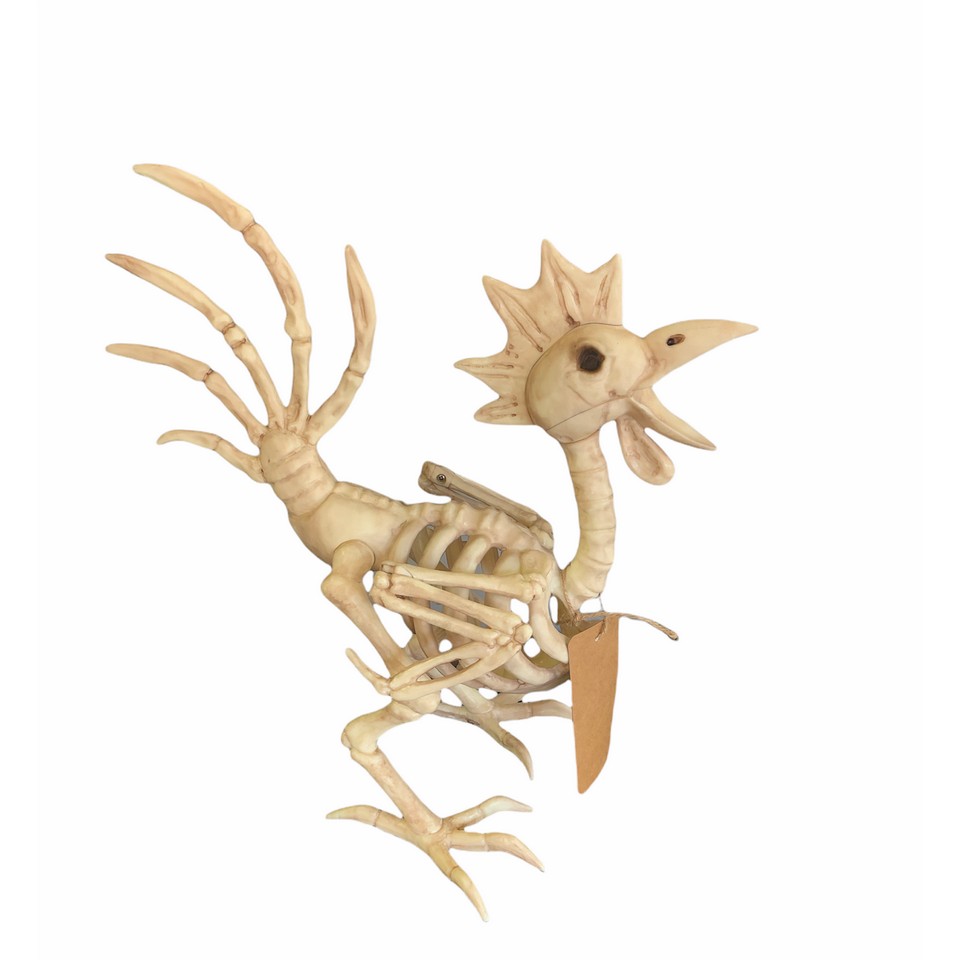 Rooster Skeleton