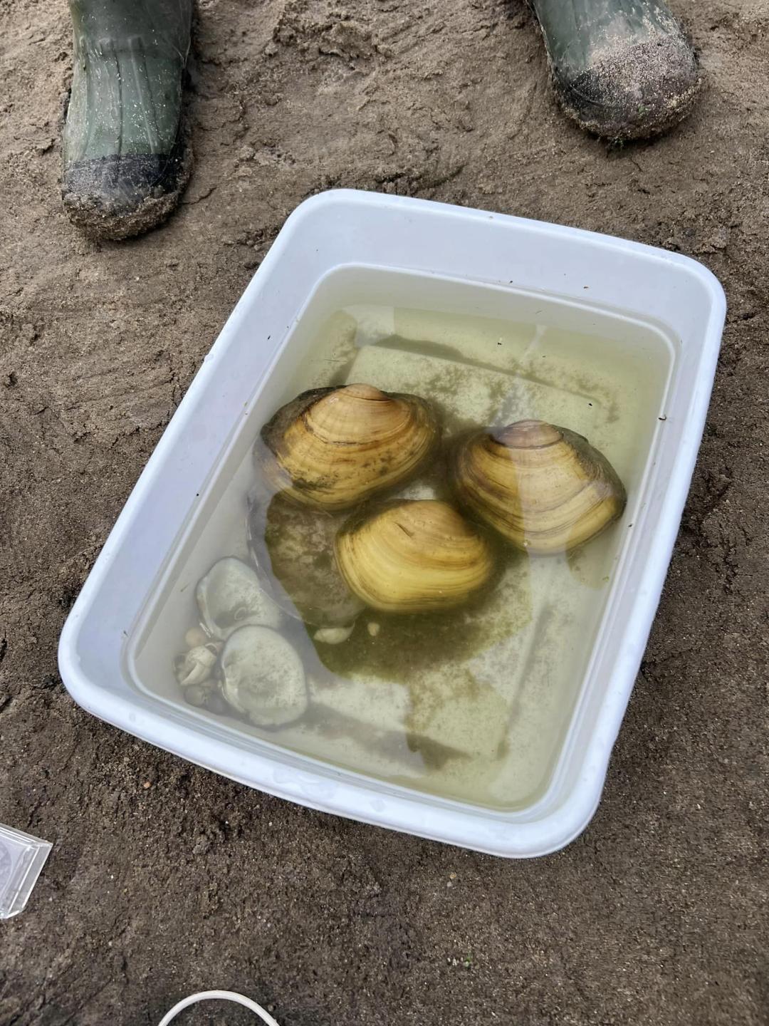 Iowa State Extension Master Conservation Program. Rivers Rippey News