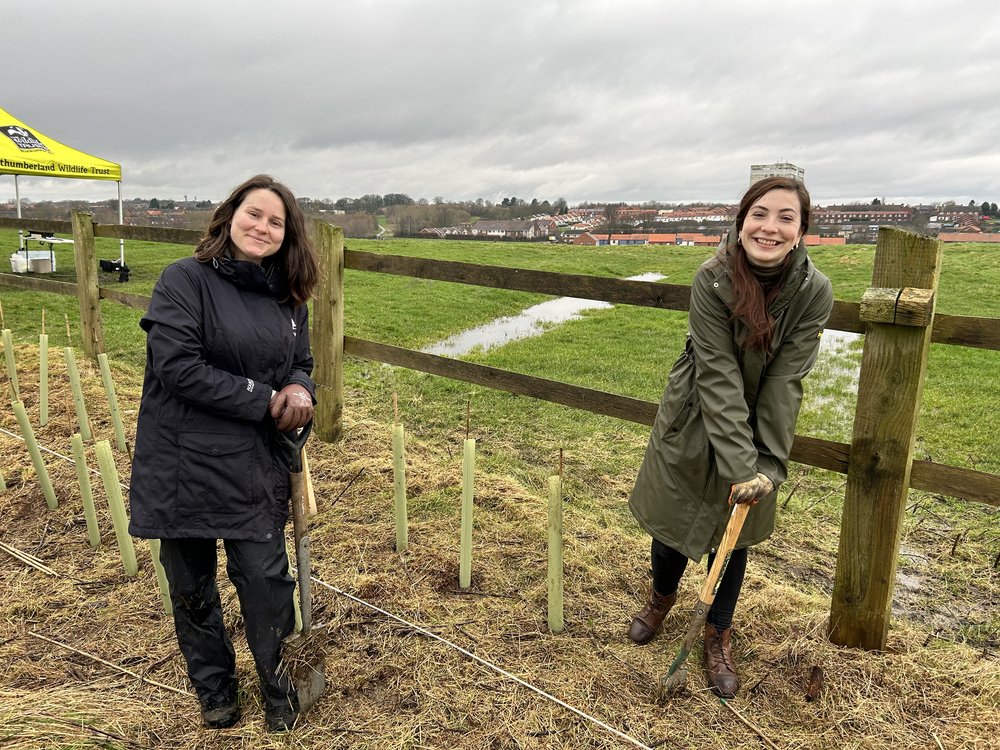 Boost for the environment after treemendous effort Rise North East