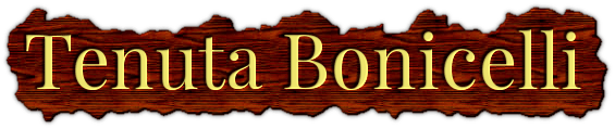 Riserva di Caccia Piemonte - Tenuta Bonicelli logo