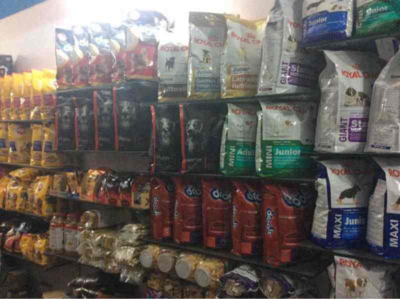 Ani pet shop Rishikesh City