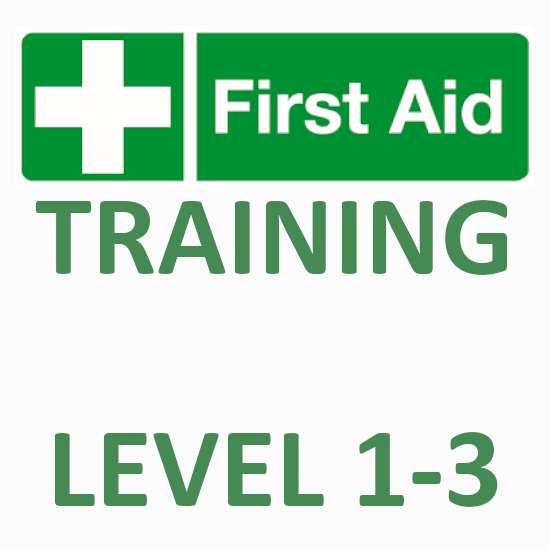 Frist Aid COMBO Level 13 (DEL) Risk Aid