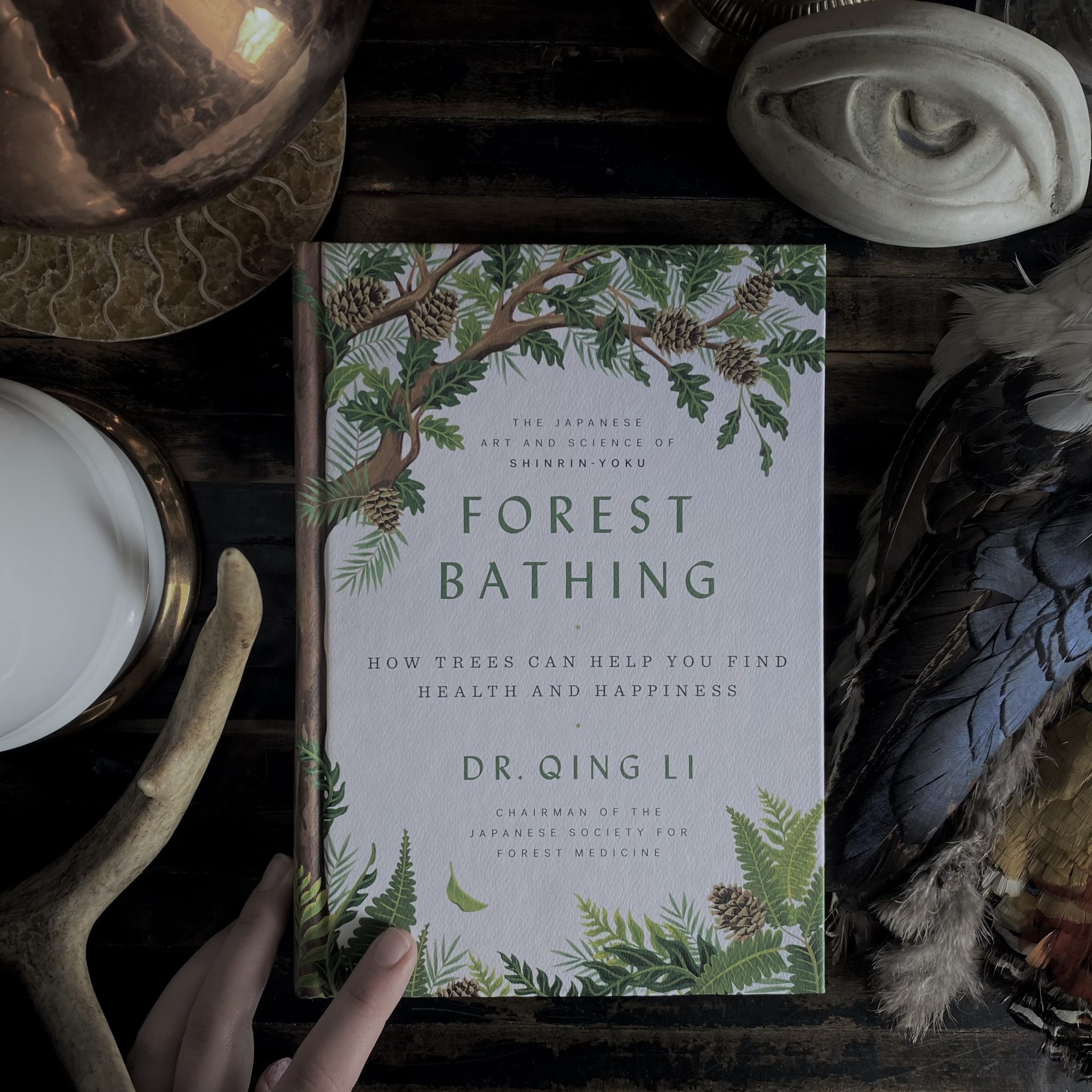 Forest Bathing. How Trees Can Help You Find Healing & Happiness. Qing Dr. Li. RitualCravt Denver