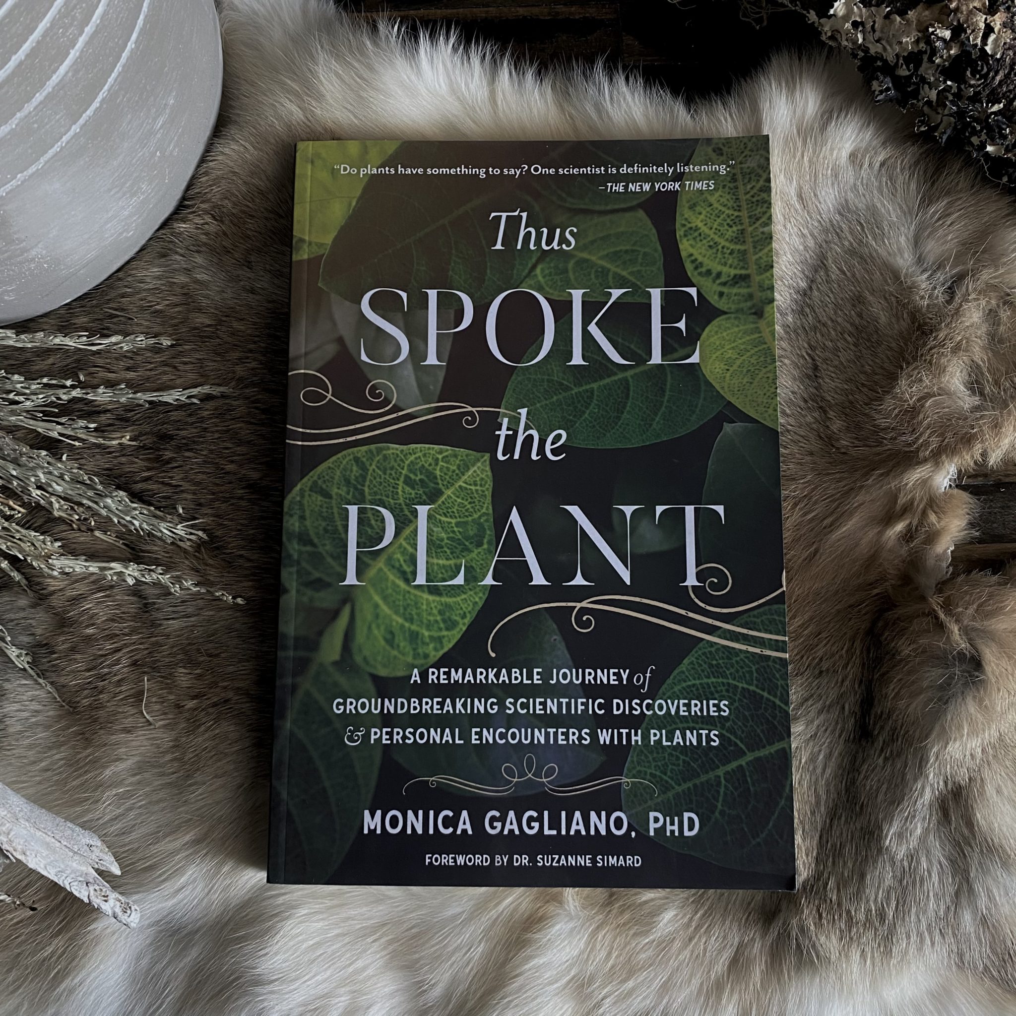 Thus Spoke The Plant. By Monica Gagliano. RitualCravt