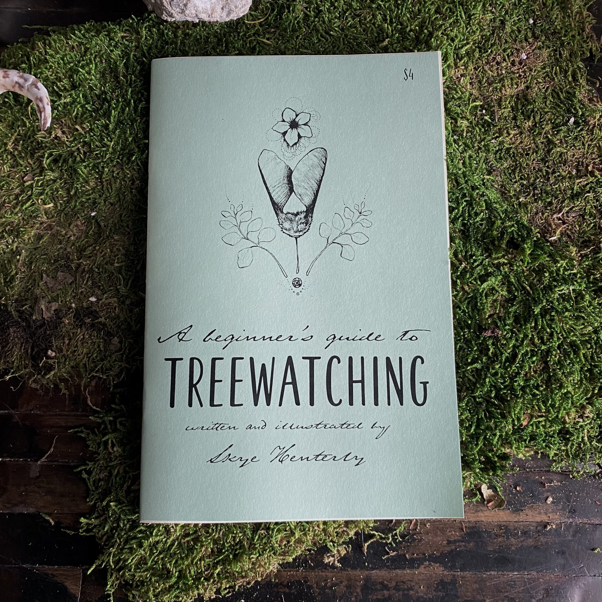 A Beginners Guide to Tree Watching. By Skye Henterly. RitualCravt