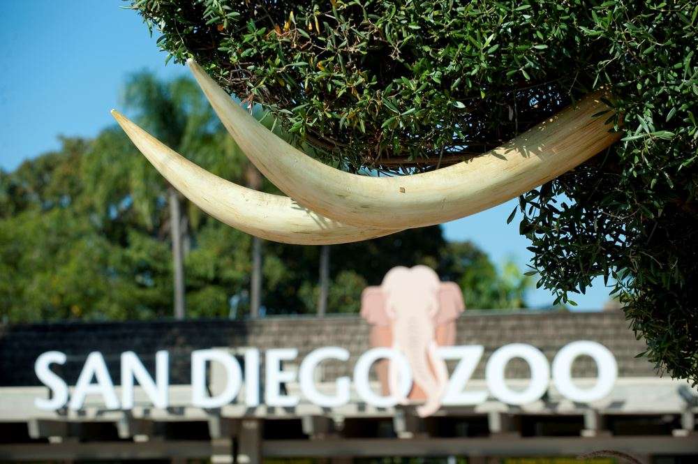 MustSee Zoos and Aquariums in California RITZ
