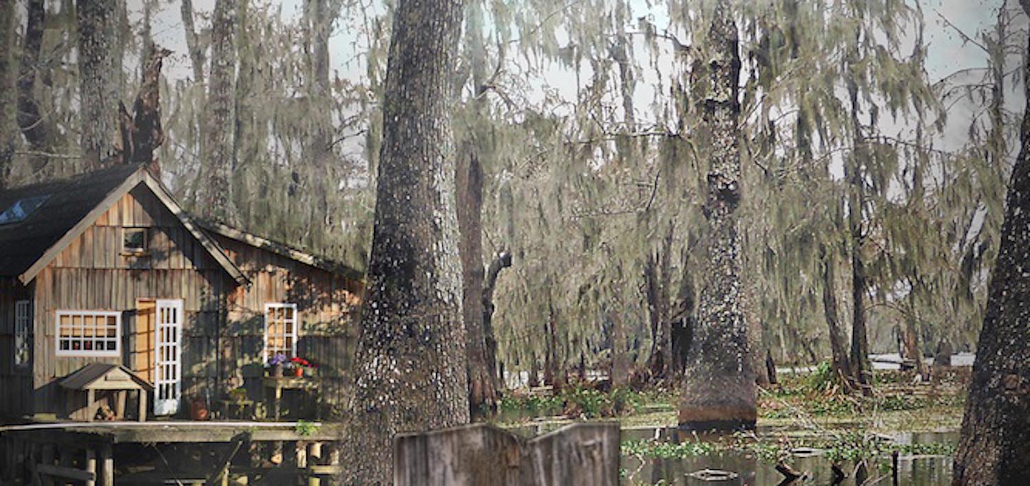 BUYING THE BAYOU Rive Gauche Television