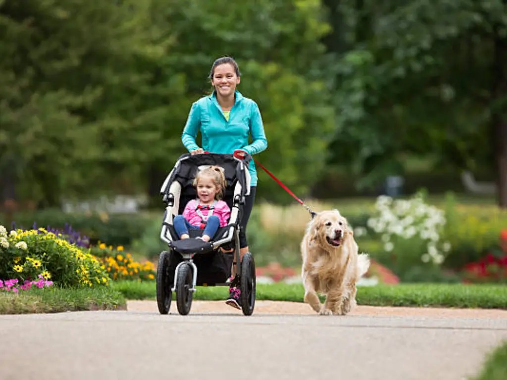 When Can Baby Go in Jogging Stroller Safety Tips