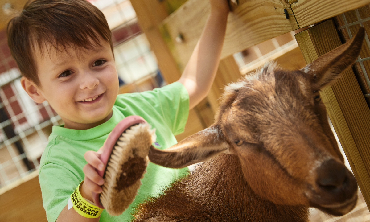 Homeschool Programs Riverbanks Zoo & Garden