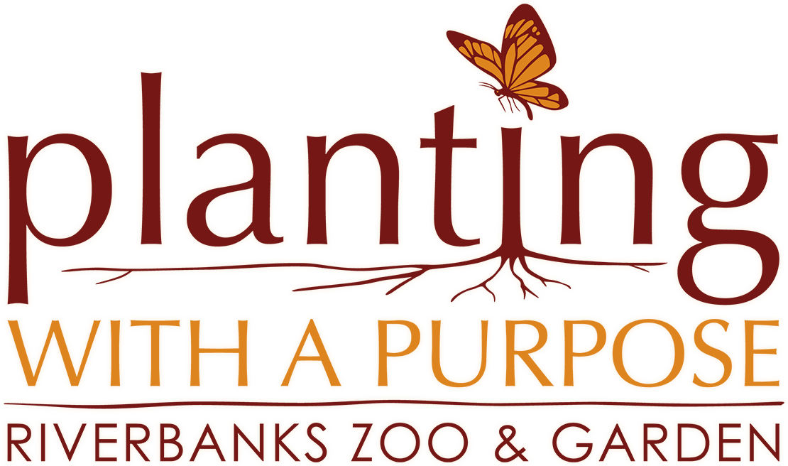 Planting with a Purpose Riverbanks Zoo & Garden