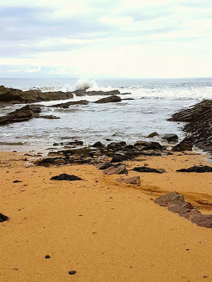 Fife Coastal Path (Kingsbarns to St Andrews)