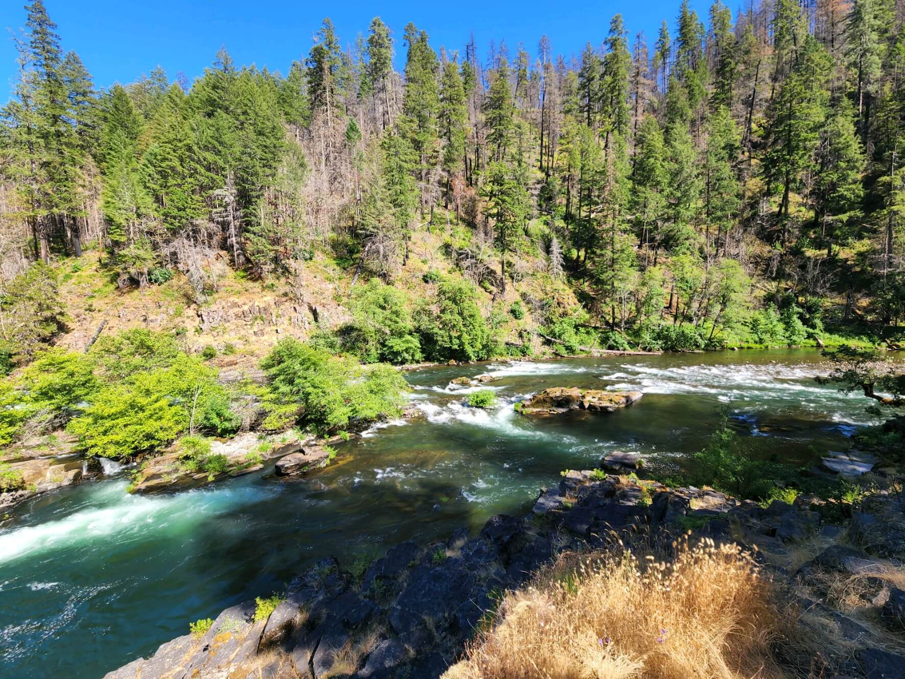 Restoration and Reflection in the Umpqua Watershed River Network