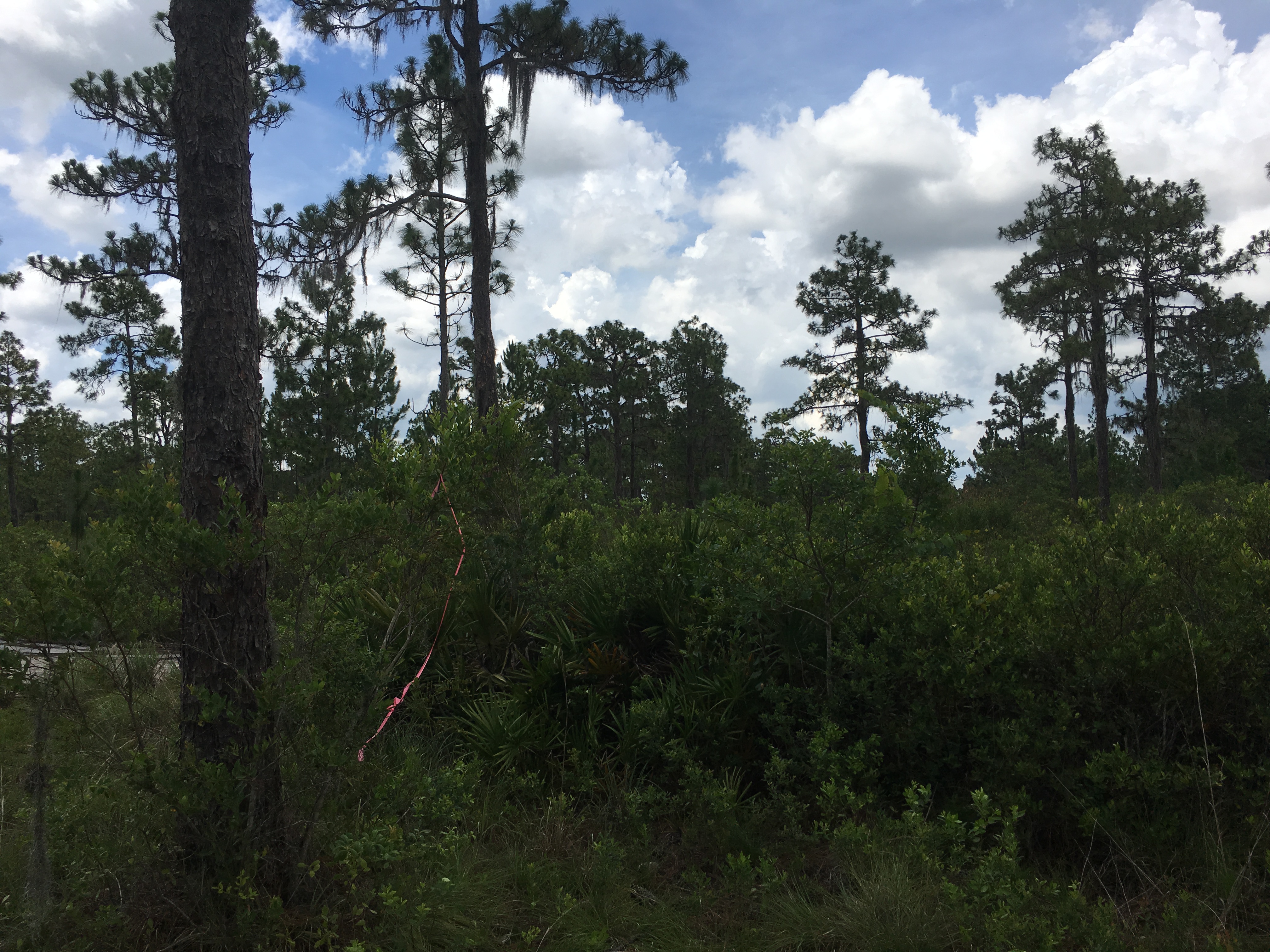 River Ranch Acres Florida Recreational RRPOA Property Camp lot Campsite