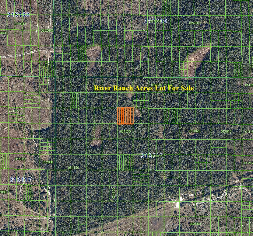 River Ranch Acres 0.31 acre lot