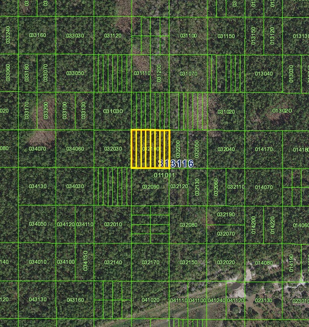 River Ranch Acres 0.31 acre lot