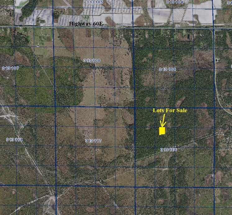 River Ranch Acres 0.31 acre lot