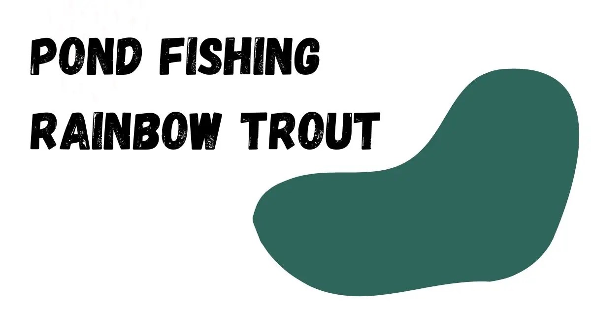 How to Catch Rainbow Trout in a Stocked Pond Fishing Tips