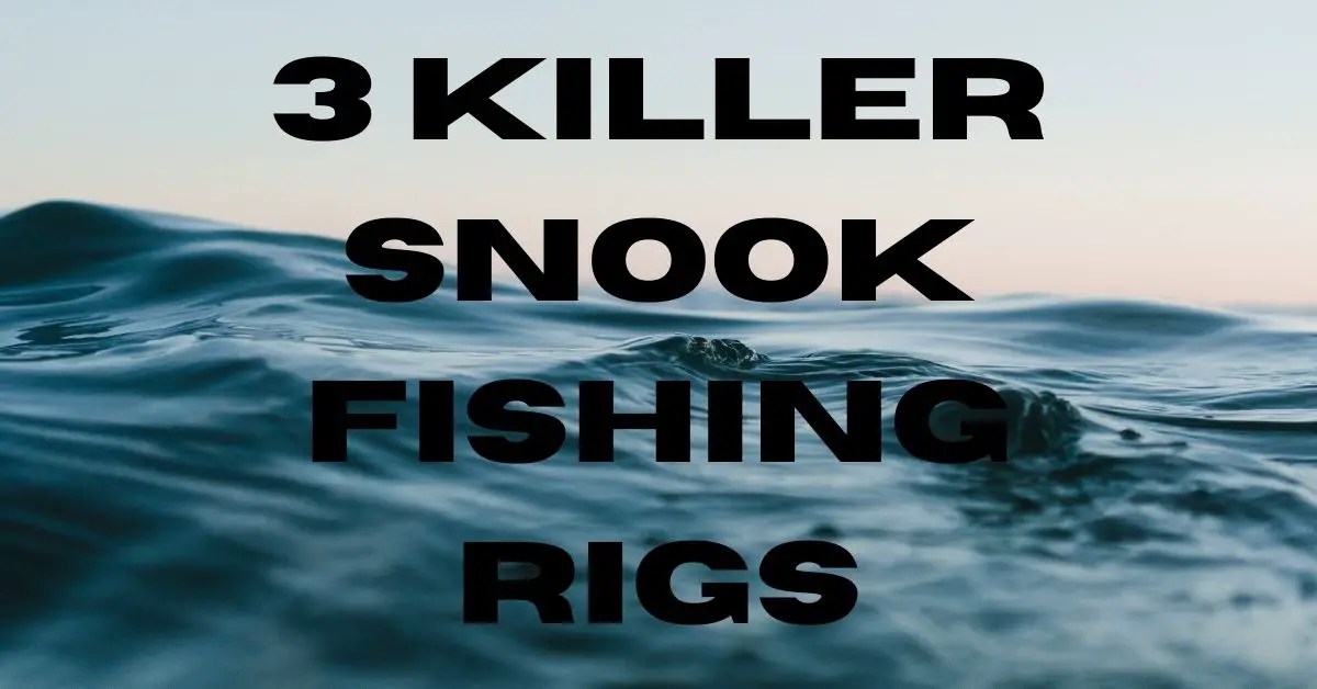 Snook Fishing Rigs 3 Killer Rigs You Need to Try