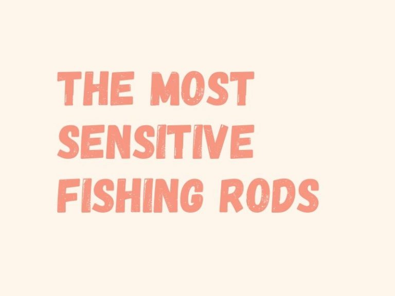 Most Sensitive Fishing Rods 5 UltraSensitive Rods