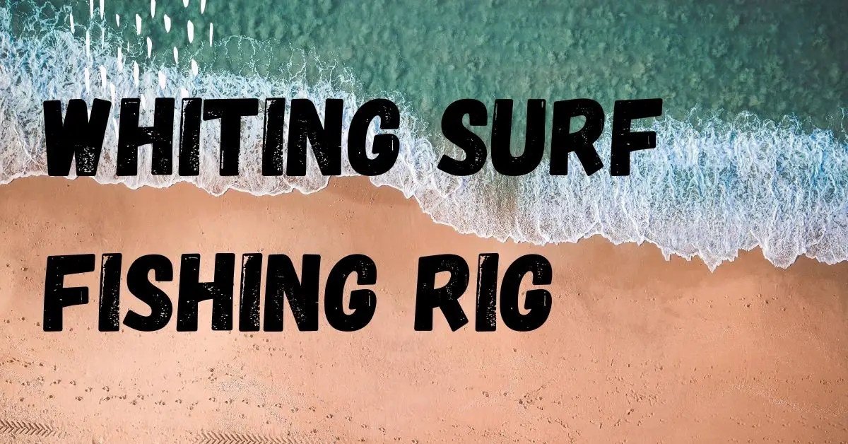 Surf Fishing Rig for Whiting Dropper Loop Rig