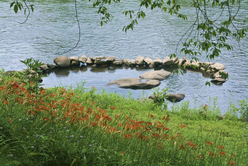 River's Edge Cafe Gallery River's Edge Cafe