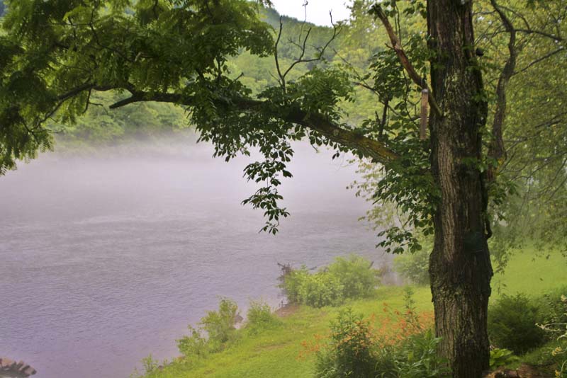 River's Edge Cafe Gallery River's Edge Cafe