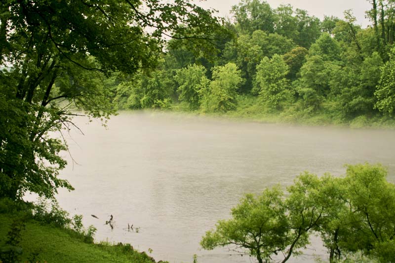 River's Edge Cafe Gallery River's Edge Cafe