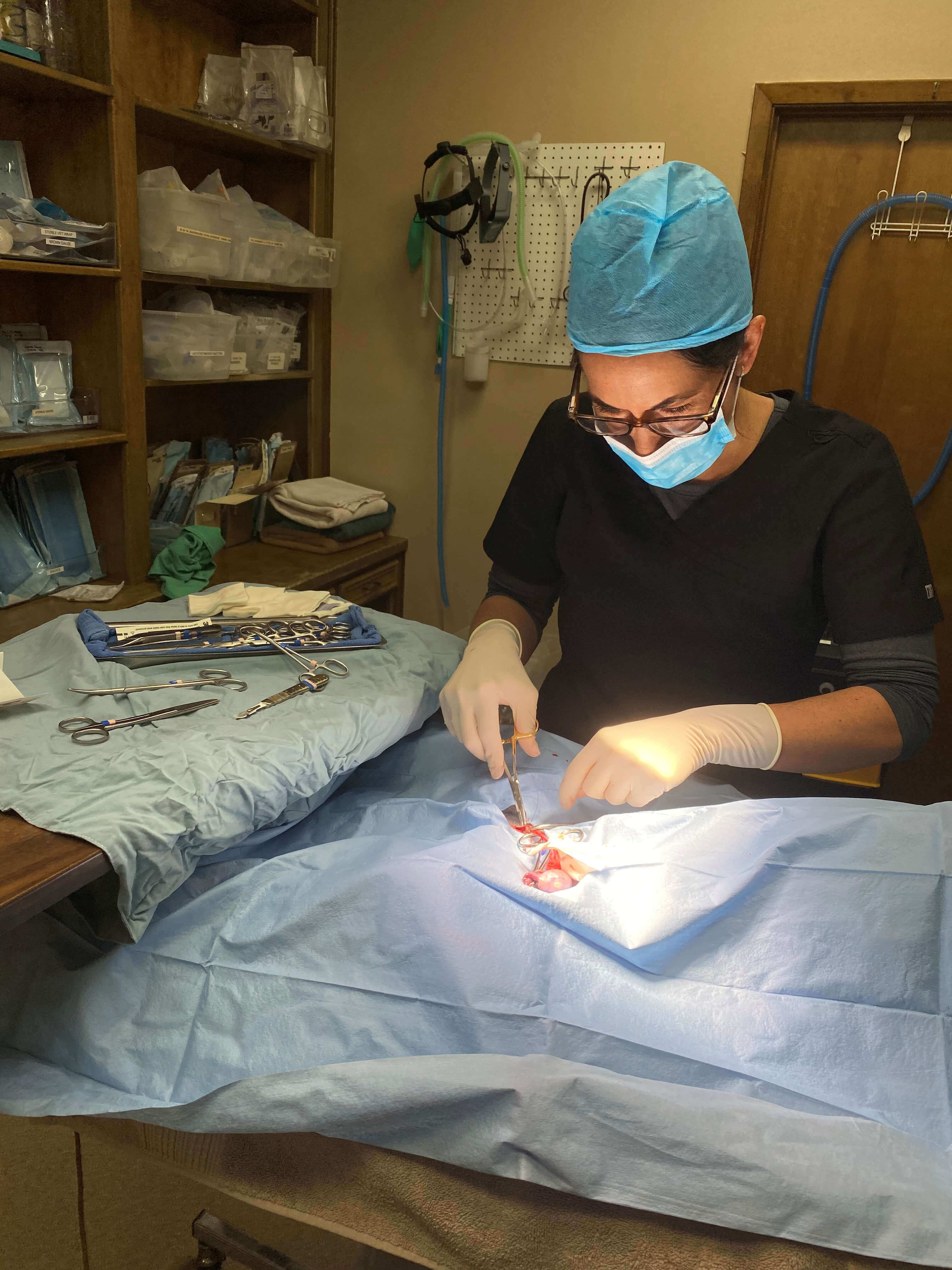 Associate Veterinarian Grote Riverstone Veterinary Group