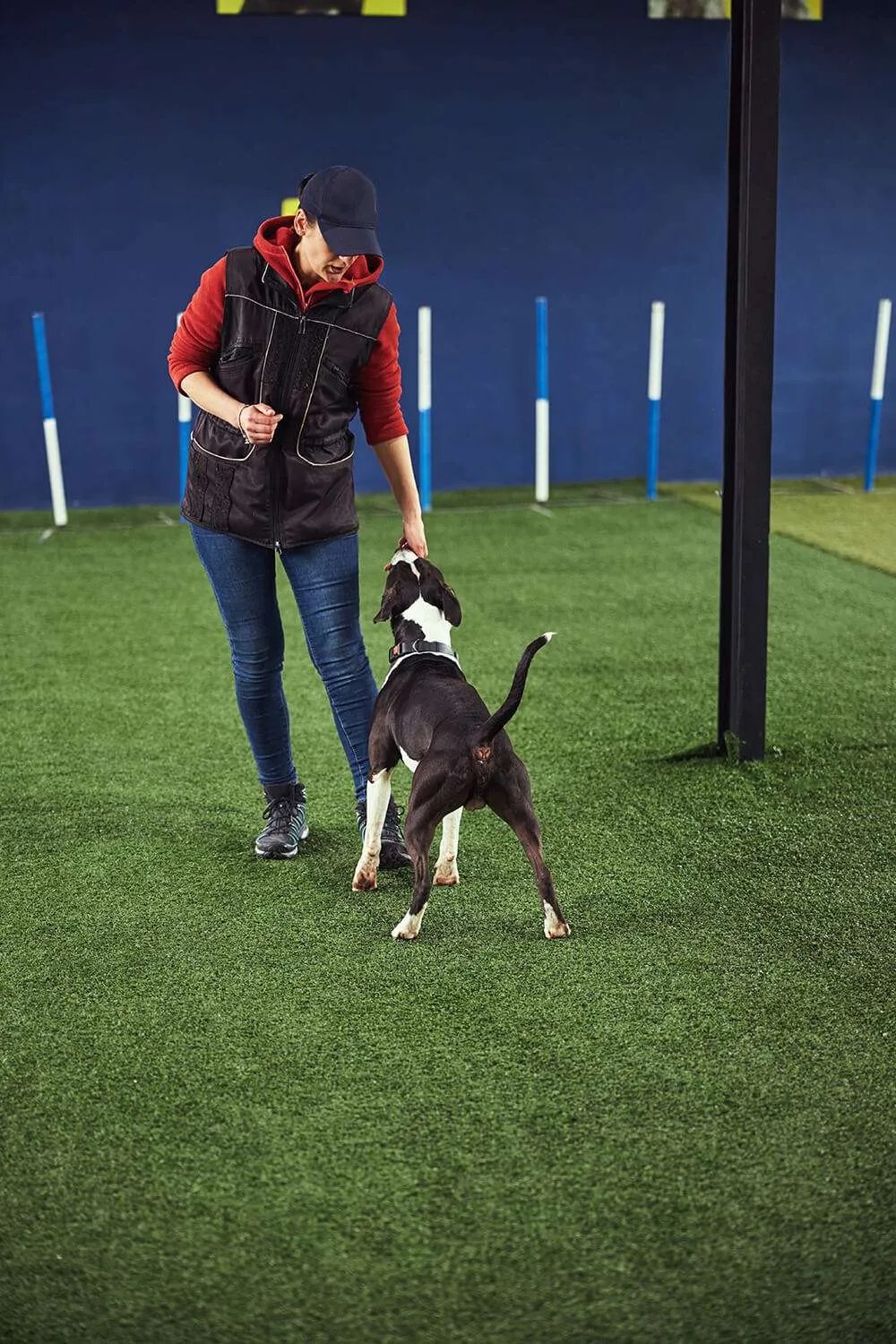 Realistic Artificial Grass Installation Riverview, FL