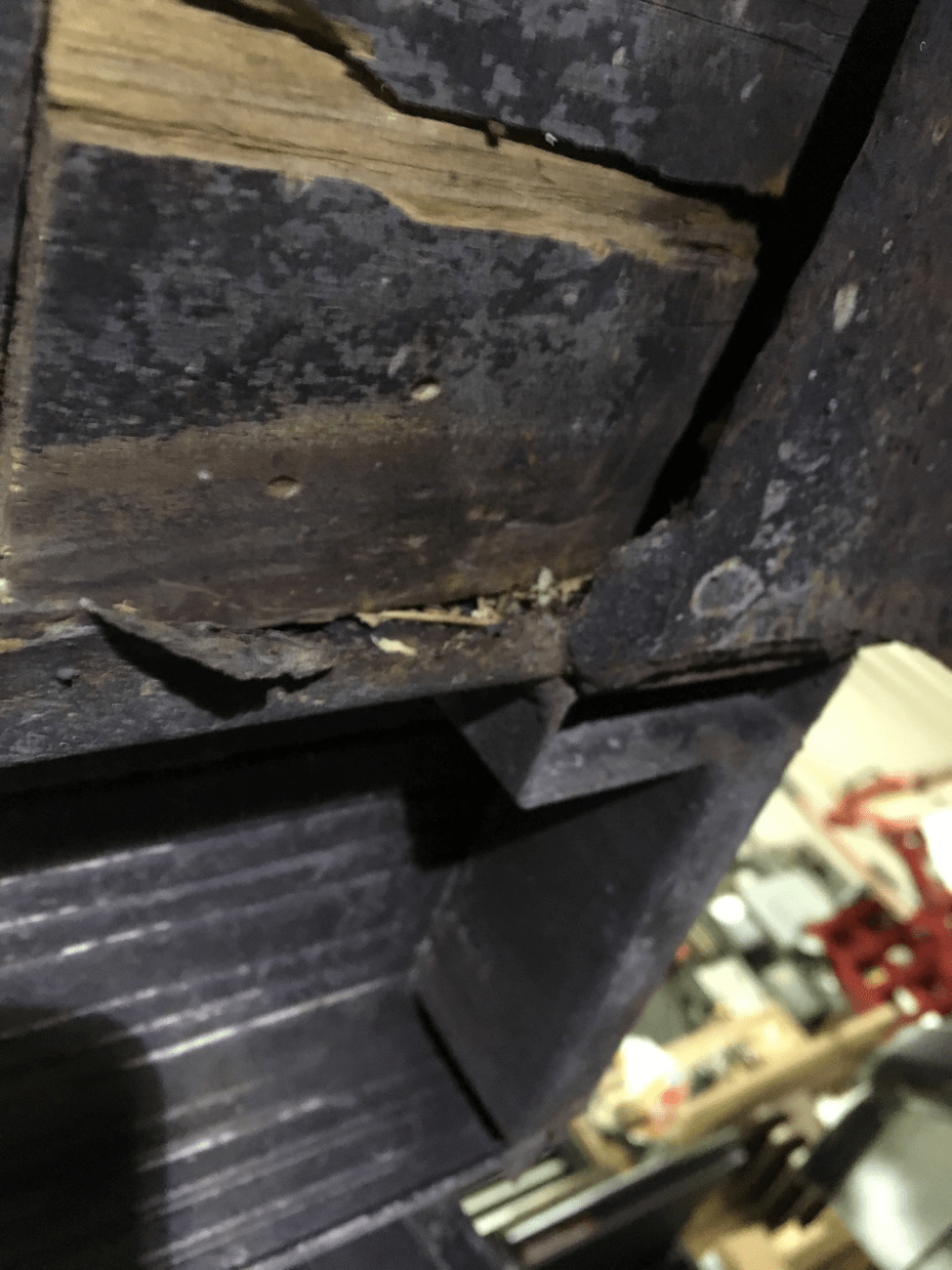 Inspecting Horse Trailer Floors Riverview Trailers