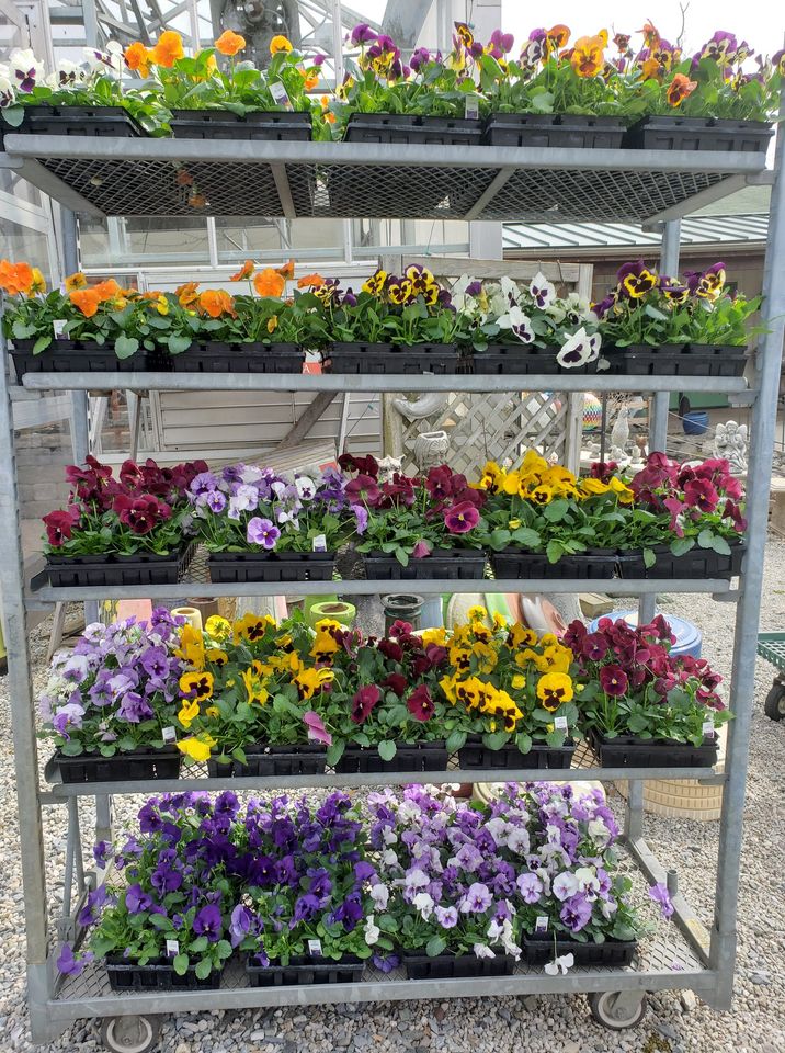 Garden Center Riverview Tree & Landscaping Berks County