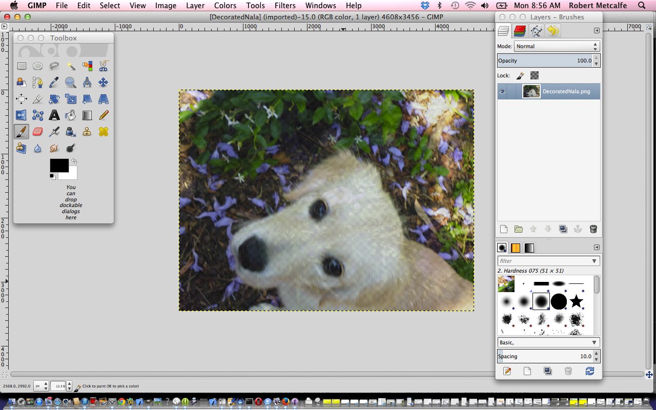 Paintbrush mac tutorial bettagz