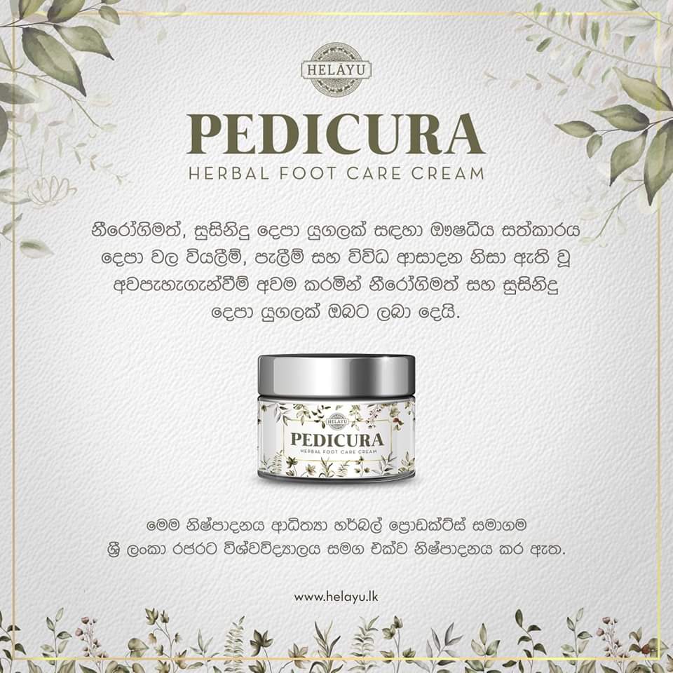 Product Launching Event Herbal Foot Crack Cream Rajarata University of Sri Lanka