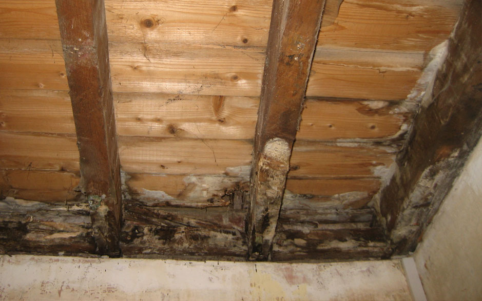 Wet Rot Treatment, Croydon, South London RLH Developments Limited