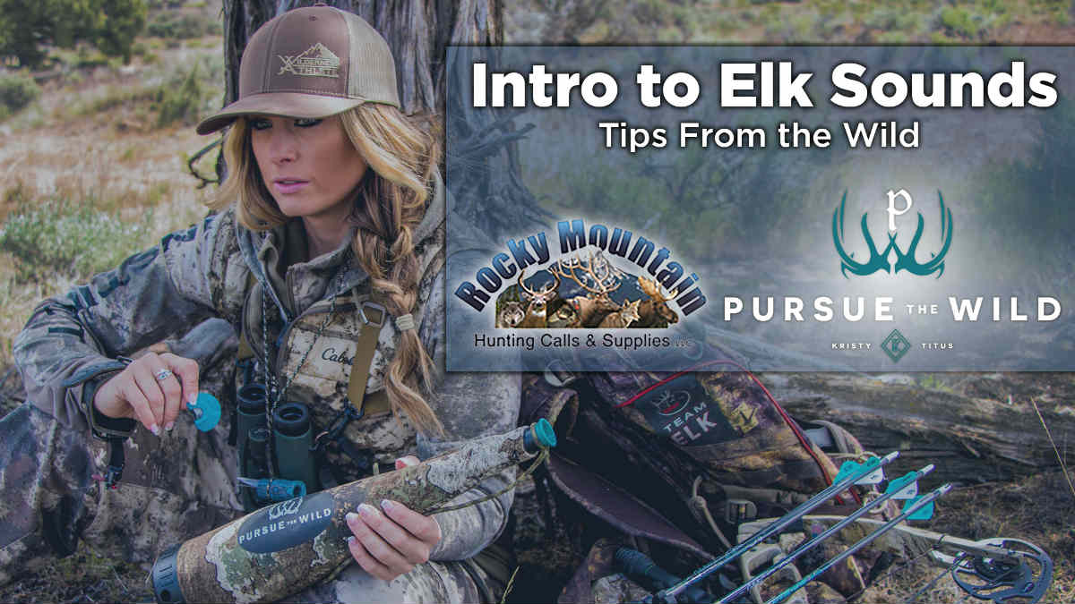 How To Make Elk Sounds Rocky Mountain Elk Foundation