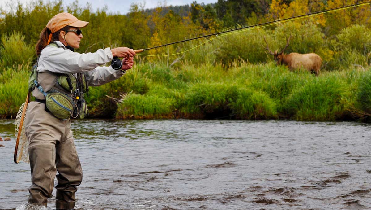 Conservation Wins as More People Take Up Fishing Rocky Mountain Elk