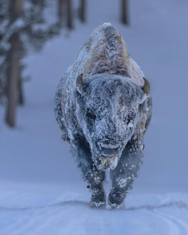 Weather Photographer of the Year Setting the scene snow & ice
