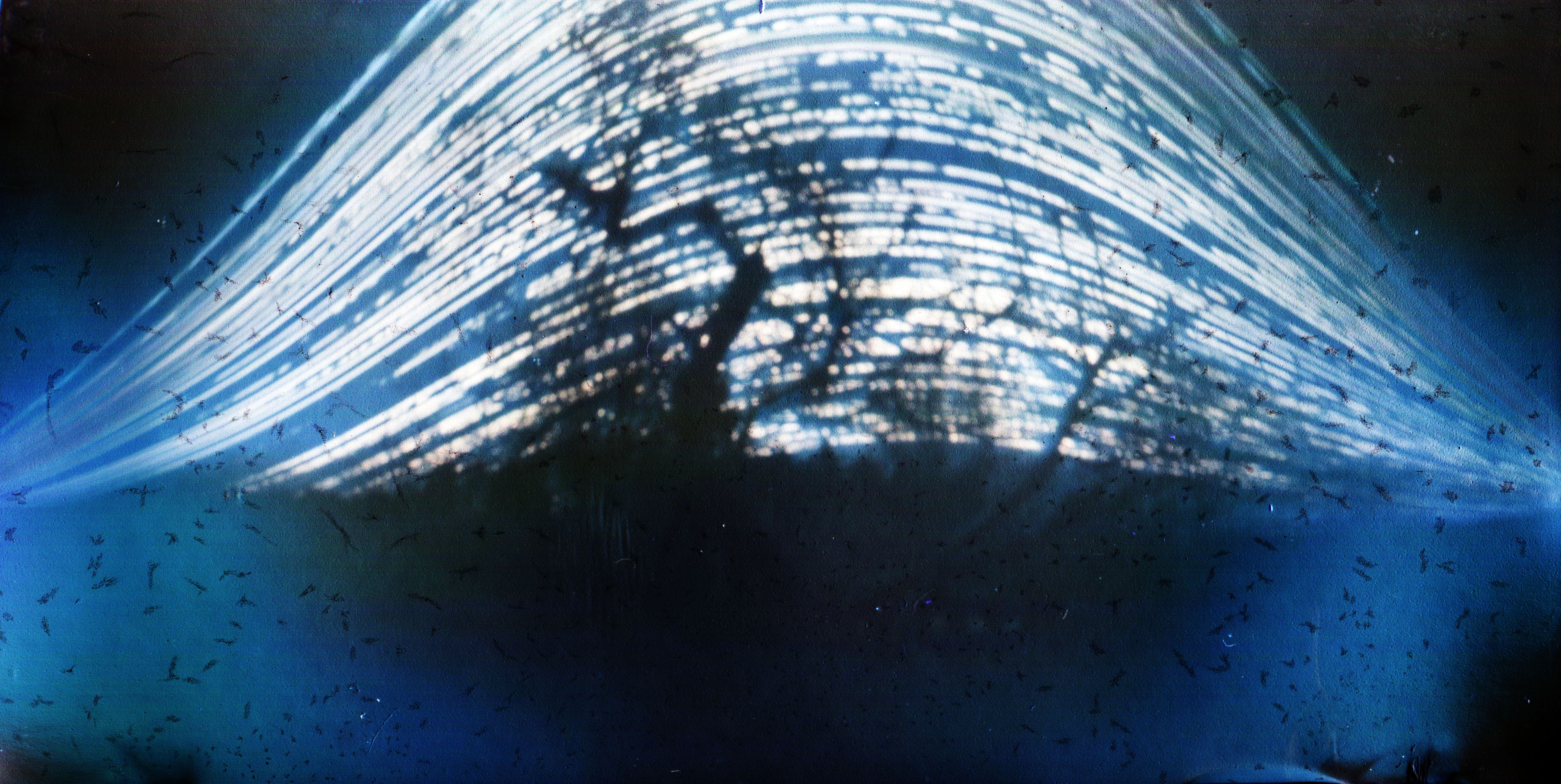 Equinoxes and solstices Autumnal and vernal equinoxes, Summer and Winter solstices