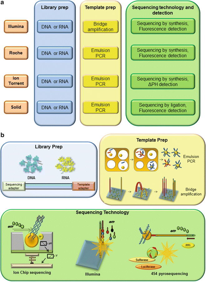 Choosing a nextgeneration sequencing pipeline RNASeq Blog