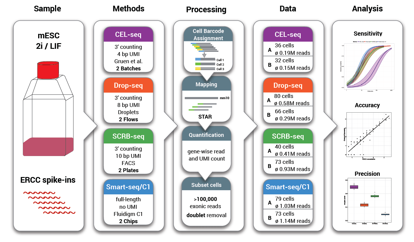 Comparative analysis of singlecell RNAsequencing methods RNASeq Blog
